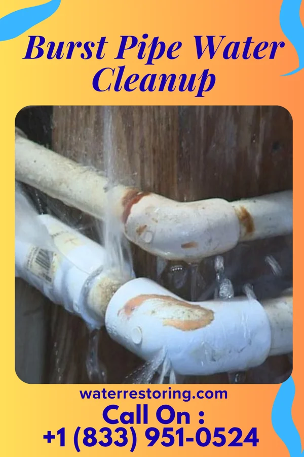 Burst Pipe Water Cleanup in Frankclay, MO