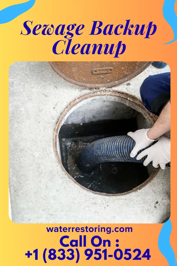 Sewage Backup Cleanup in Frankclay, MO